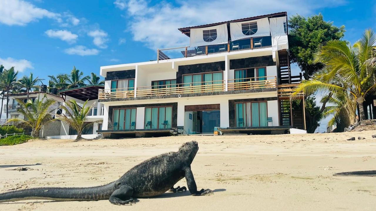 לינה וארוחת בוקר פורטו וילאמיל Cormorant Beach House מראה חיצוני תמונה